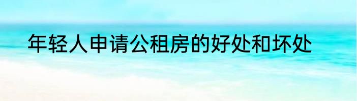 年轻人申请公租房的好处和坏处