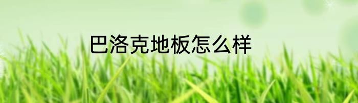 巴洛克地板怎么样