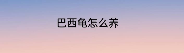 巴西龟怎么养