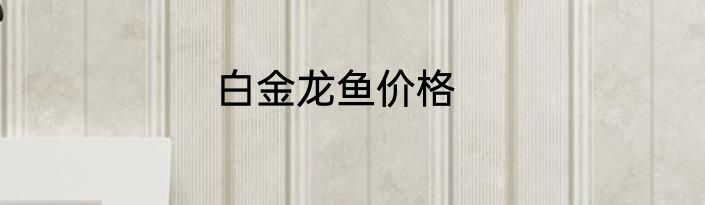 白金龙鱼价格