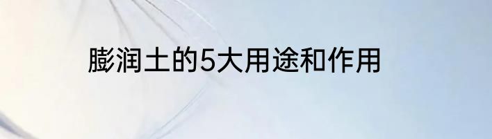 膨润土的5大用途和作用