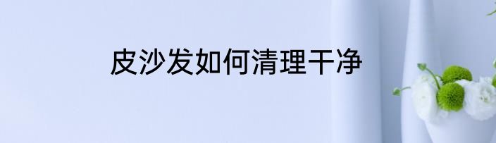 皮沙发如何清理干净