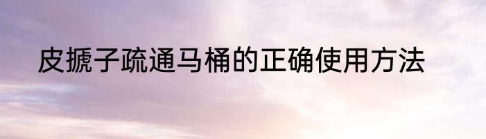皮搋子疏通马桶的正确使用方法