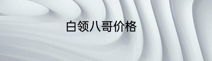 白领八哥价格