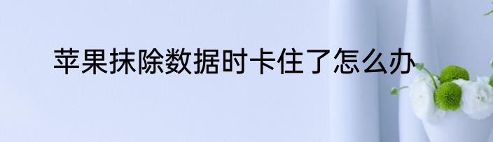 苹果抹除数据时卡住了怎么办
