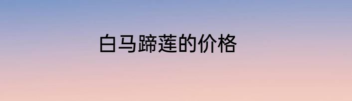 白马蹄莲的价格