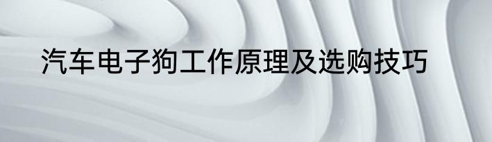 汽车电子狗工作原理及选购技巧