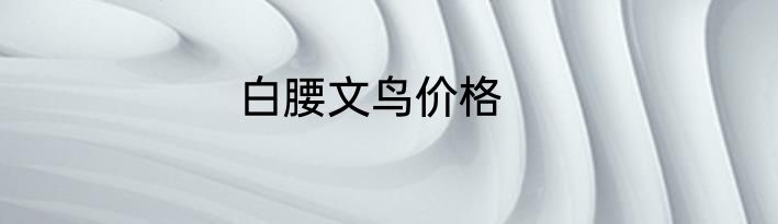 白腰文鸟价格