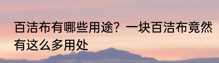 百洁布有哪些用途？一块百洁布竟然有这么多用处