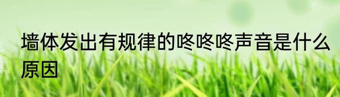 墙体发出有规律的咚咚咚声音是什么原因