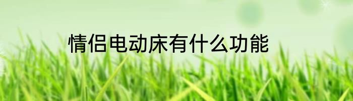 情侣电动床有什么功能