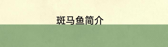 斑马鱼简介