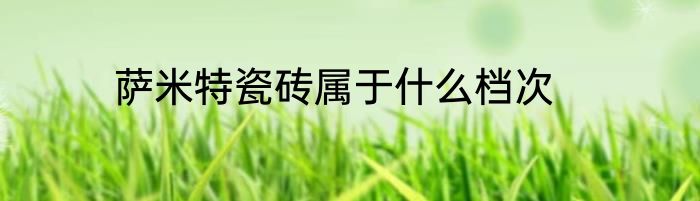 萨米特瓷砖属于什么档次