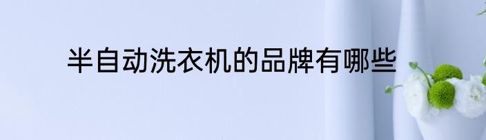 半自动洗衣机的品牌有哪些