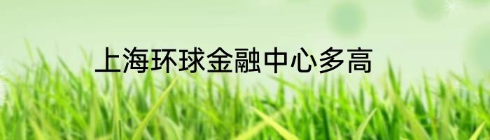 上海环球金融中心多高