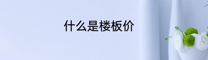 什么是楼板价