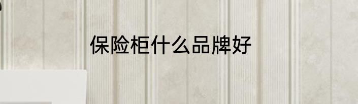 保险柜什么品牌好