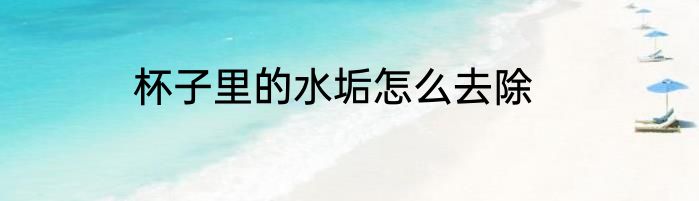杯子里的水垢怎么去除