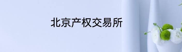 北京产权交易所