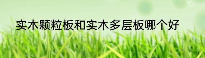 实木颗粒板和实木多层板哪个好
