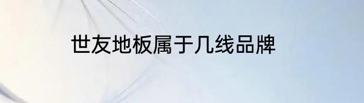世友地板属于几线品牌