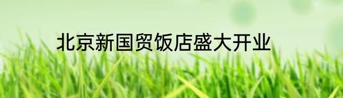 北京新国贸饭店盛大开业