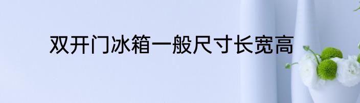 双开门冰箱一般尺寸长宽高