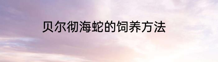 贝尔彻海蛇的饲养方法