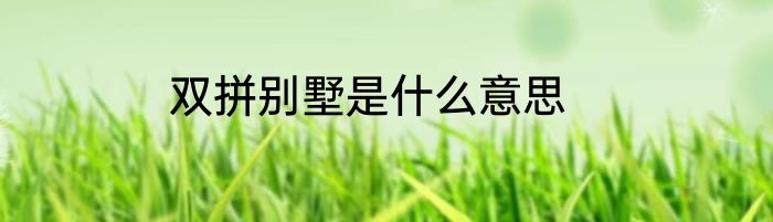 双拼别墅是什么意思