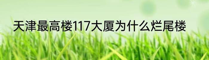 天津最高楼117大厦为什么烂尾楼