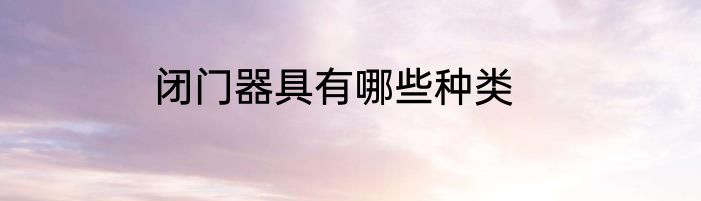 闭门器具有哪些种类
