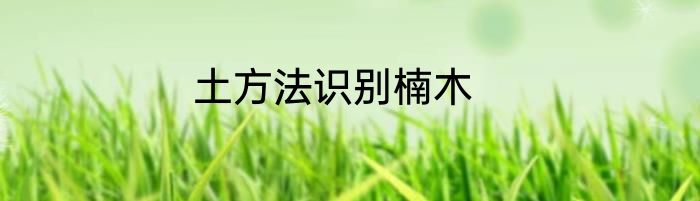 土方法识别楠木