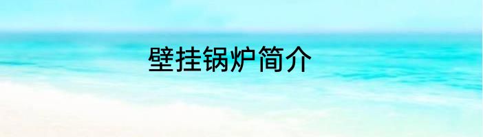 壁挂锅炉简介