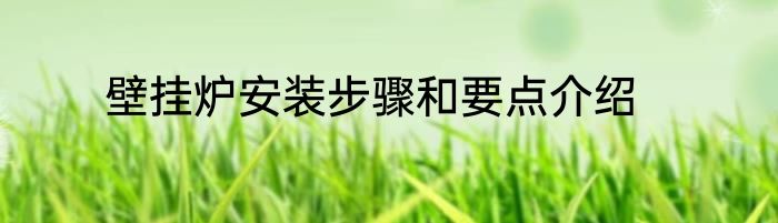壁挂炉安装步骤和要点介绍