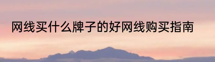 网线买什么牌子的好网线购买指南