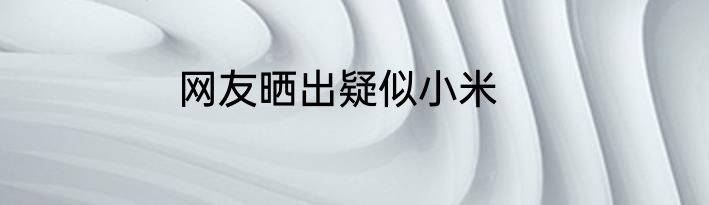 网友晒出疑似小米