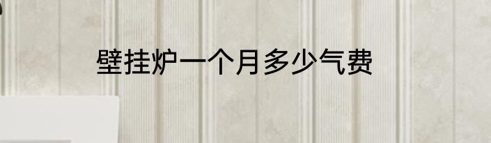 壁挂炉一个月多少气费