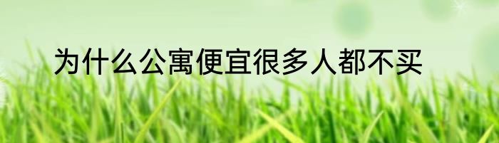 为什么公寓便宜很多人都不买