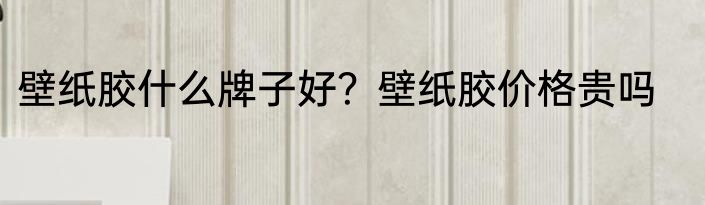 壁纸胶什么牌子好？壁纸胶价格贵吗