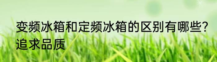 变频冰箱和定频冰箱的区别有哪些？追求品质