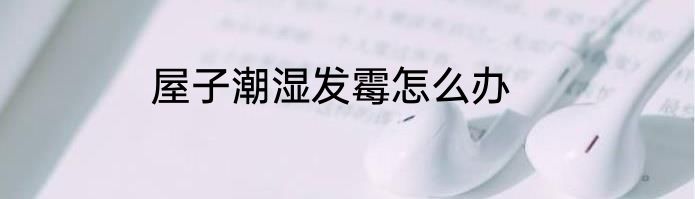 屋子潮湿发霉怎么办