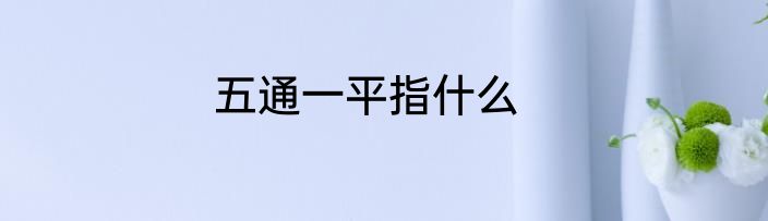 五通一平指什么
