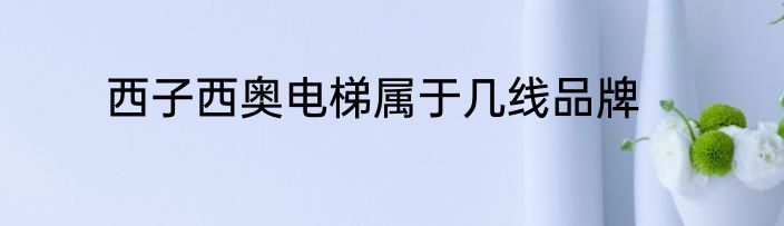 西子西奥电梯属于几线品牌
