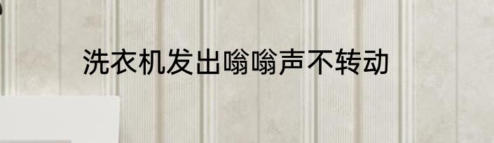 洗衣机发出嗡嗡声不转动