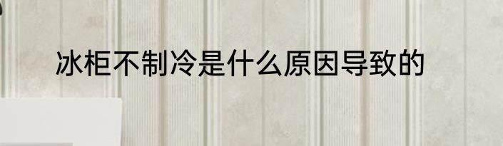 冰柜不制冷是什么原因导致的