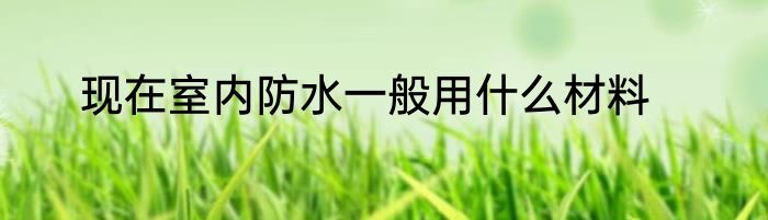 现在室内防水一般用什么材料