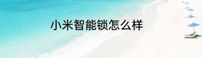 小米智能锁怎么样