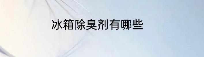 冰箱除臭剂有哪些