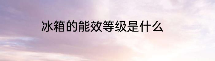 冰箱的能效等级是什么