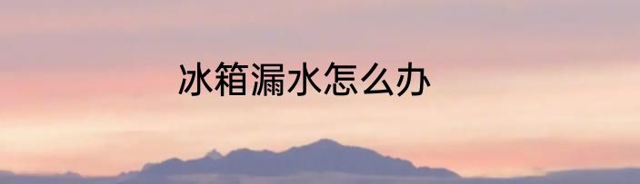冰箱漏水怎么办